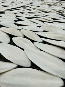 Hueso de sepia, calcio Natural más vendido para pájaros, tortugas, conejos, pico, soporte de carcasa acondicionadora, suministro artesanal - Product Image 4