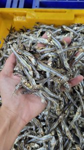 Les anchois séchés exportés sont séchés au soleil, de sorte que le poisson peut conserver l'odeur de la mer - Product Image 3