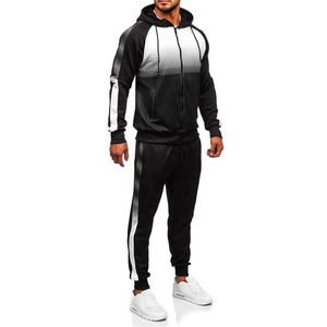 Sudadera con capucha y logotipo personalizado, chándal de 2 piezas para hombre, ropa de invierno de alta calidad, conjunto de chándal OEM de talla grande - Product Image 3