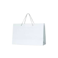 Sacs en papier kraft blanc/marron durables sur mesure en gros avec poignée longue, écologiques, recyclables, impression précise, qualité supérieure