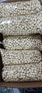 Tuerca de loto seca de alta calidad de exportación superior del proveedor auténtico a precio competitivo - Product Image 6