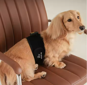 [Rebuild-dog b] Suministros para mascotas Dispositivo de estimulación eléctrica y banda de cintura para perros Productos para el cuidado de la rótula del perro - Product Image 2