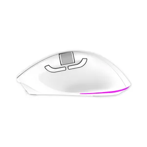 ODM-ratón inalámbrico recargable RGB para ordenador de oficina, Mouse silencioso y ergonómico para videojuegos, Bluetooth, para portátil y PC