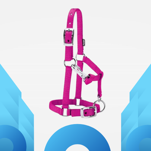 Halter cheval en nylon noir style indien avec selle australienne et occidentale - Product Image 2