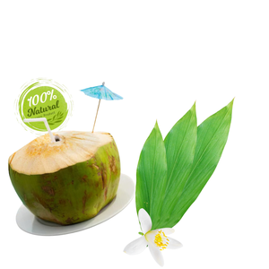 มะพร้าวสดเวียดนาม-ลดลงของความดีของธรรมชาติ - Product Image 4