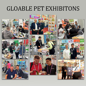 Arena para gatos Tofu de alta calidad del fabricante OEM, fácil de limpiar, fuerte aglomeración, buen control de olores, arena para gatos saludable al por mayor - Product Image 4