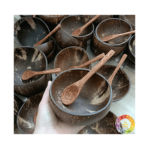 Tazón de cáscara de coco natural y ligero 100% | Artesanía pulida de alta calidad para sostener alimentos Oferta especial de Vietnam - Product Image 1