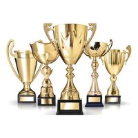 Trophée Sportif Personnalisé en Fer de Haute Qualité, Fait Main, Design Moderne, Vente en Gros, Approvisionnement Mondial pour les Vainqueurs de Championnats