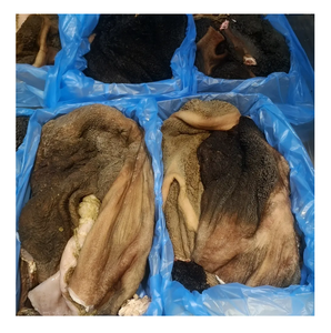 ไส้กรอกวัวเขียวดิบคุณภาพเยี่ยมจากเบลเยียม จำหน่ายขายส่งออนไลน์ - Product Image 3