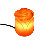 Lampe de sel de l'Himalaya en forme de fleur, dernière collection 2025, écologique, fabriquée à la main, lampe de bureau avec un savoir-faire de haute qualité