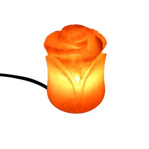 2025 última forma de flor USB lámpara de sal del Himalaya Luz de escritorio viral única con artesanía de buena calidad - Product Image 2