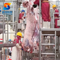 Équipement automatique de traitement du bétail pour abattoir de bovins, couteau de boucherie