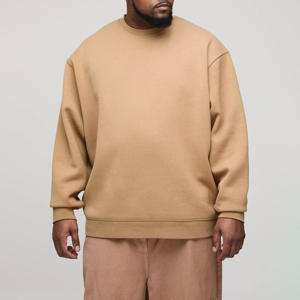 Sudadera de invierno con cuello redondo liso de gran tamaño y logotipo personalizado, 2025 algodón, 100% peso pesado, artículo de 500 Gsm para hombres, sudaderas con capucha - Product Image 2