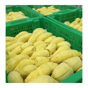 เนื้อทุเรียนแช่แข็งแบบพรีเมี่ยมเนื้อทุเรียนแบบเวียดนามแช่แข็งเนื้อทุเรียนแช่แข็งสำหรับอุตสาหกรรมอาหารขนมปั่น - Product Image 4