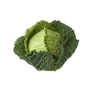 Nouvel arrivage Chou céleri frais de haute qualité meilleur prix avec logo et emballage personnalisés - Product Image 5
