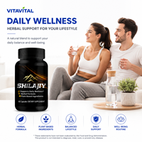 Kapsul Shilajit Suplemen Herbal Dewasa OEM ODM Label Pribadi Produsen Formula Khusus Dukungan Kekebalan Tubuh Alami Organik 60