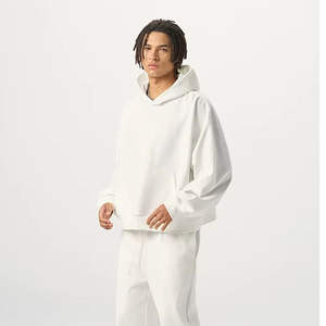 2025 nuevo personalizado Color sólido estilo cuadrado OEM invierno poliéster/algodón Streetwear liso teñido alta calidad recortada Sudadera con capucha para hombres - Product Image 1