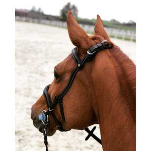 กีบทางกายวิภาคได้รับการพัฒนาร่วมกับผู้เชี่ยวชาญด้านสุขภาพขี่ม้า - Product Image 2