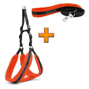 Pettorina di Lusso Semplice e Traspirante in Nylon e PU Imbottita per Cani e Gatti, Motivo Floreale, Taglia XL - Product Image 2