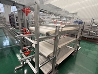 Nouveau système de cage à batterie de type H pour poulets, alimentation automatique, en acier inoxydable, facile à utiliser, équipement d'élevage avicole