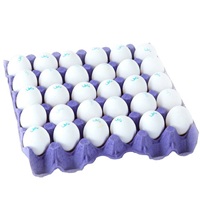 Œufs de poule de table brun-blanc de haute qualité pour l'éclosion de poulets de chair, races Ross 308 Cobb 500, frais de la ferme, 30 œufs, pondus au Néerlandes, 24 jours de couvaison