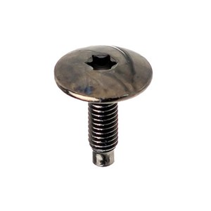 Tornillo Torx Compatible T30 M6 para Peugeot, Citroën - Product Image 1