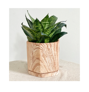 Natural <b>Wood</b> <b>Planter</b> Pot Top Attractive Design Tableware Garden Customized Size <b>Wood</b> <b>Planter</b> Pot - Product Image 6