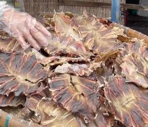 Poisson-marin séché du Vietnam, texture ferme, fournisseur de poisson-marin séché, poisson-marin séché 500g 17.6oz ANGLE - Product Image 4