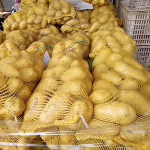 Pommes de terre fraîches rondes jaunes et rouges, légumes biologiques pour la cuisine et la pâtisserie - Product Image 6