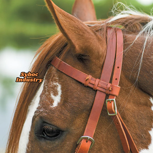 Brida de caballo de piel de vaca genuina de calidad superior Nuevo estilo inglés Brida de Doma con productos de caballo de cabeza de cuero - Product Image 3