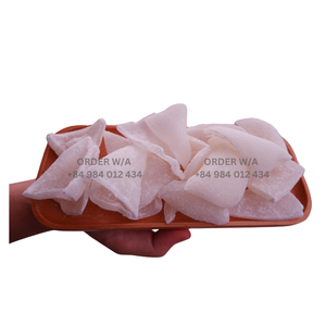 มะพร้าวอบแห้งแผ่นมะพร้าวอบแห้งขนมเพื่อสุขภาพแผ่นมะพร้าวอบแห้งคุณภาพสูงจากเวียดนาม - Product Image 3