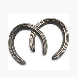 High Quality Customized Professional OEM Services Racing Stainless Steel Horse Hooves POWER HINT Brand MOQ 10 Pairs Pakistan - Product Image 1