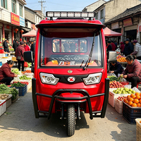 Tricycle électrique haute puissance 1000W, trike électrique à 3 roues pour le transport de marchandises, moto électrique, capacité de charge supérieure à 400 kg