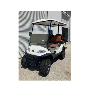 Carrito de golf eléctrico de alto rendimiento, color azul, 6 plazas, con batería de 48V/72V, el más vendido, en venta. - Product Image 3