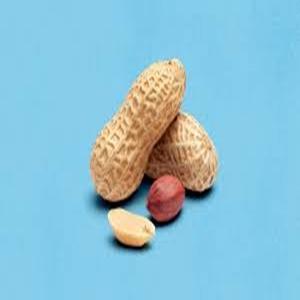 Cacahuetes Tostados Naturales Crudos a la Venta a Precio de Mayoreo - Product Image 4