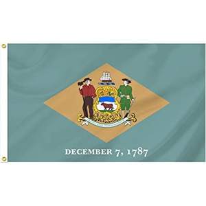 Drapeau de Delaware USA TOP FLAGSINC pour l'extérieur, 3x5 pieds, fabriqué aux États-Unis, double face avec 2 œillets en laiton, 3 couches - Product Image 4
