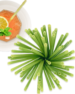 Juego de pajitas de hierba orgánica 100%, elementos esenciales para fiestas de Vietnam, pajitas desechables para beber hierba envueltas individualmente, transparentes - Product Image 6