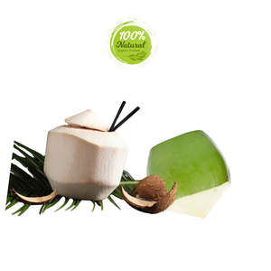 Solución nutricional de productos agrícolas de coco de diamante para entusiastas de la salud - Product Image 1