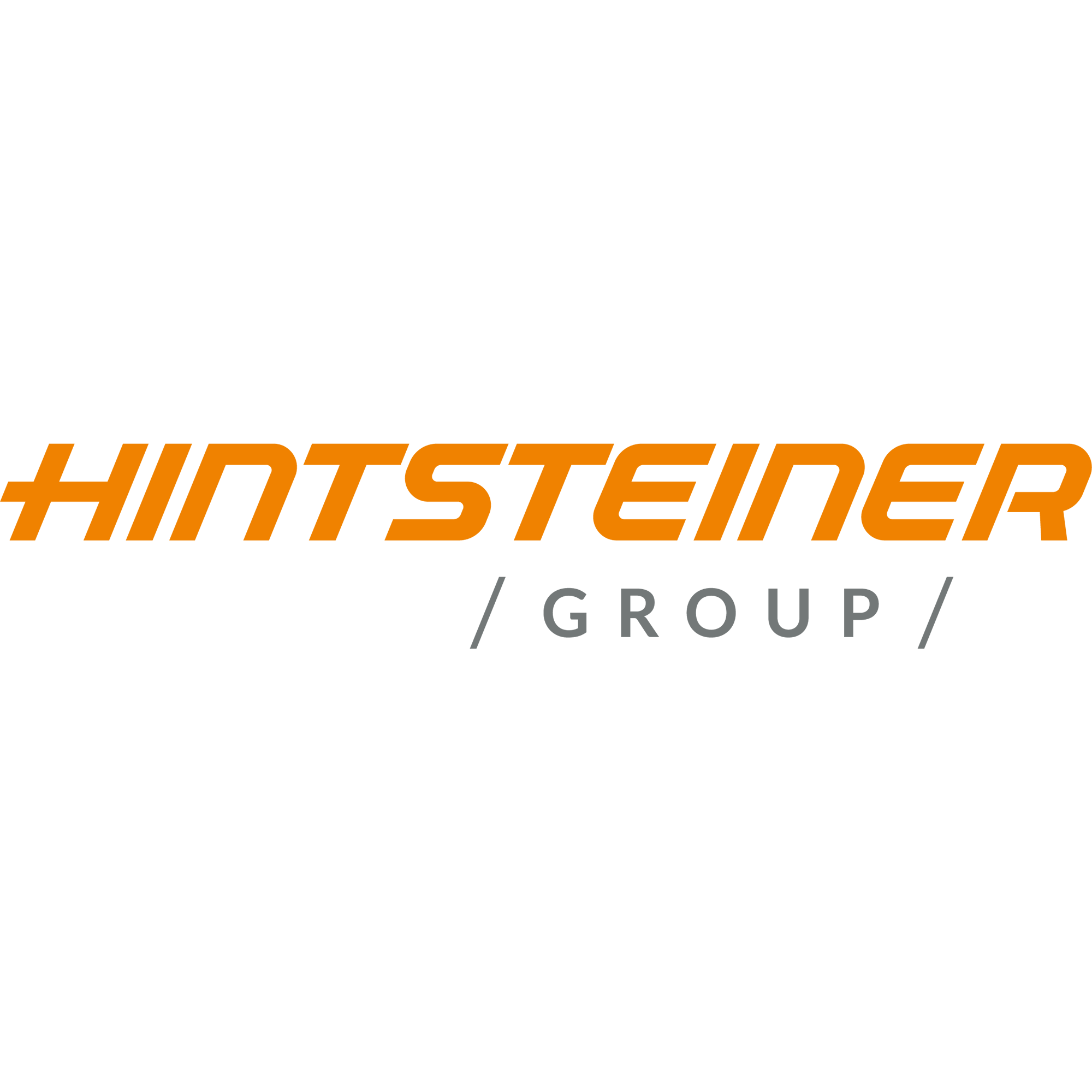 Hintsteiner Group GmbH logo