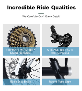 Bicicletta Elettrica Pieghevole con Ruote da 20 Pollici, E-Bike Urbana con Motore Posteriore da 250W, Display LCD, Controllo di Crociera, Produzione OEM - Product Image 4