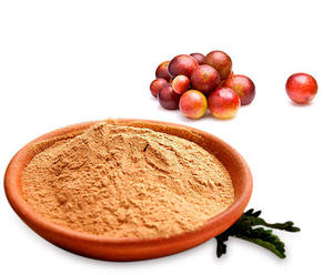Camu Camu 100% Puro Orgánico de Perú en Polvo Secado por Aspersión Malla 80 - Product Image 2