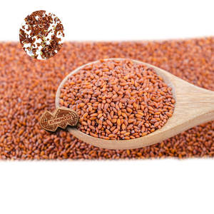 Berro | Hierba microverde Gourmet | Producto agrícola ecológico - Product Image 4