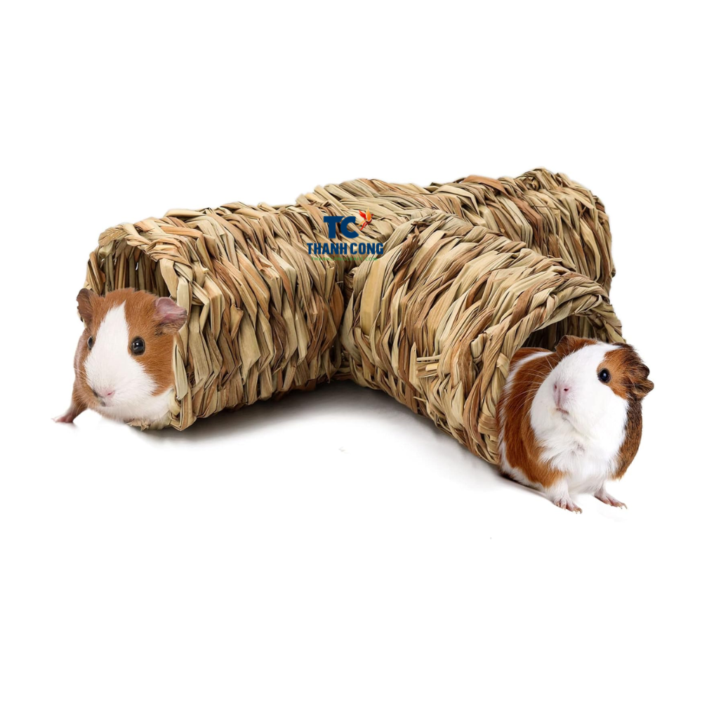 ธรรมชาติ