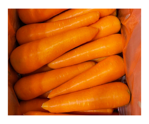 ZANAHORIA FRESCA DE VIETNAM CON BUEN PRECIO - Product Image 6