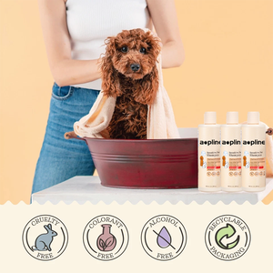 Shampooing pour chiens en marque propre, hypoallergénique, pour peaux sensibles, formule végétalienne biologique, aloès vera fermenté, sébum, chiens et chats, toutes saisons - Product Image 2