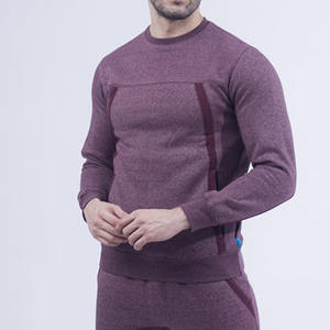 High Quality Custom Logo Heavy Sweatshirt Unisex Cotton Sweatshirt Heavyweight Cotton Winter Crew Neck Pullover Sweatshirt - Product Image 1