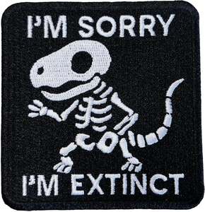 แพทช์ปักลายตามสั่งจากโรงงานโดยตรง รีดติดหรือเย็บติดบนผ้า สำหรับเสื้อผ้า หมวก กระเป๋า ขายส่งจากผู้ผลิต - Product Image 1