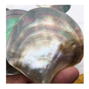 PRODUITS SEA SHELL!!! COQUILLES PERLES DU VIETNAM AVEC L'EXPORTATION HAUTEMENT STANDARD ET LE MEILLEUR PRIX POUR LA DÉCORATION - Product Image 1