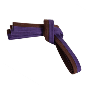 Ceinture de karaté professionnelle de haute qualité 100% coton nouvel et élégant équipement d'arts martiaux léger dans toutes les couleurs - Product Image 3