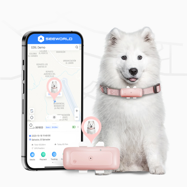 IP67 Waterproof GPS Pet Tracker with Anti-Theft Feature for Wild Animal Tracking and Pet Management